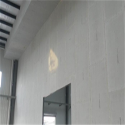 马关宁波ALC板|EPS加气板隔墙与混凝土整浇联接的实验研讨